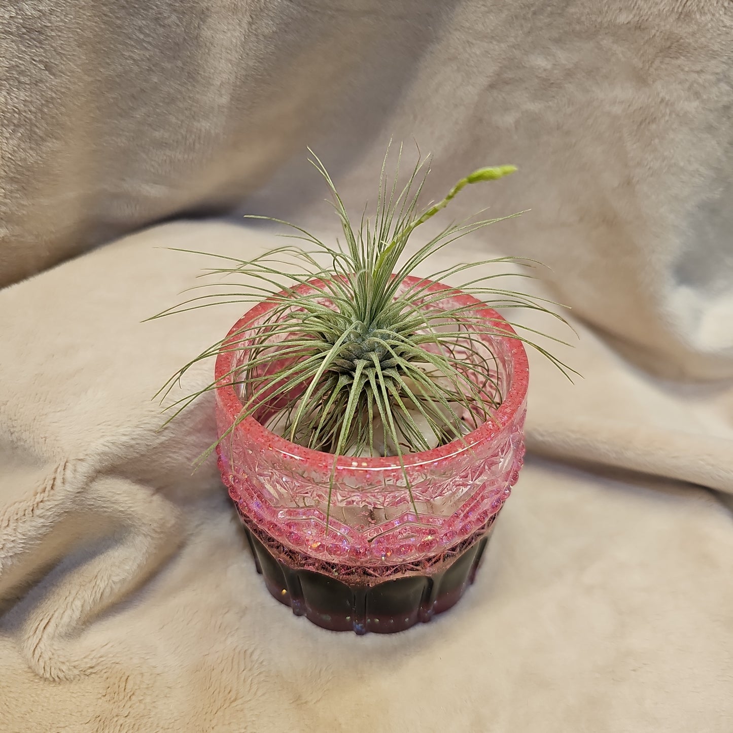 Votive/Planter-Pink & Brown