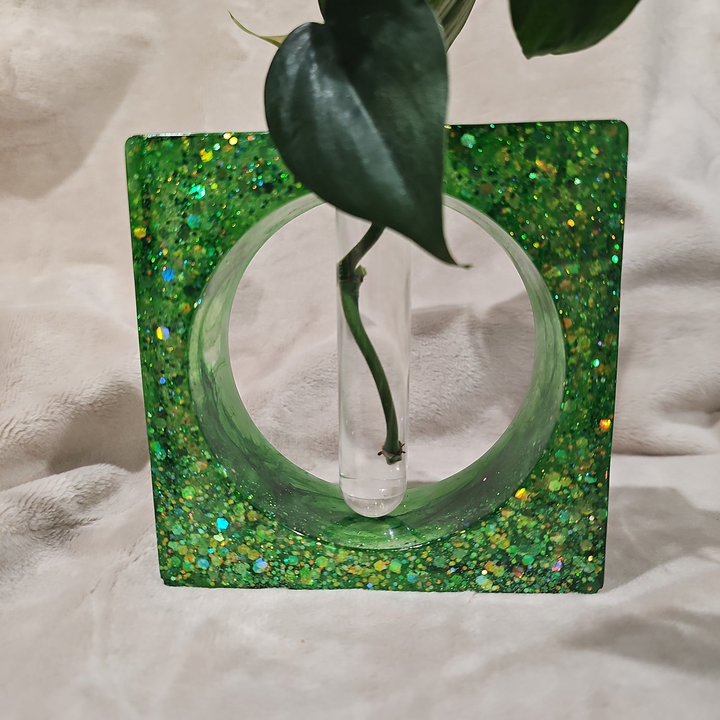 Plant Propagator - Green Square