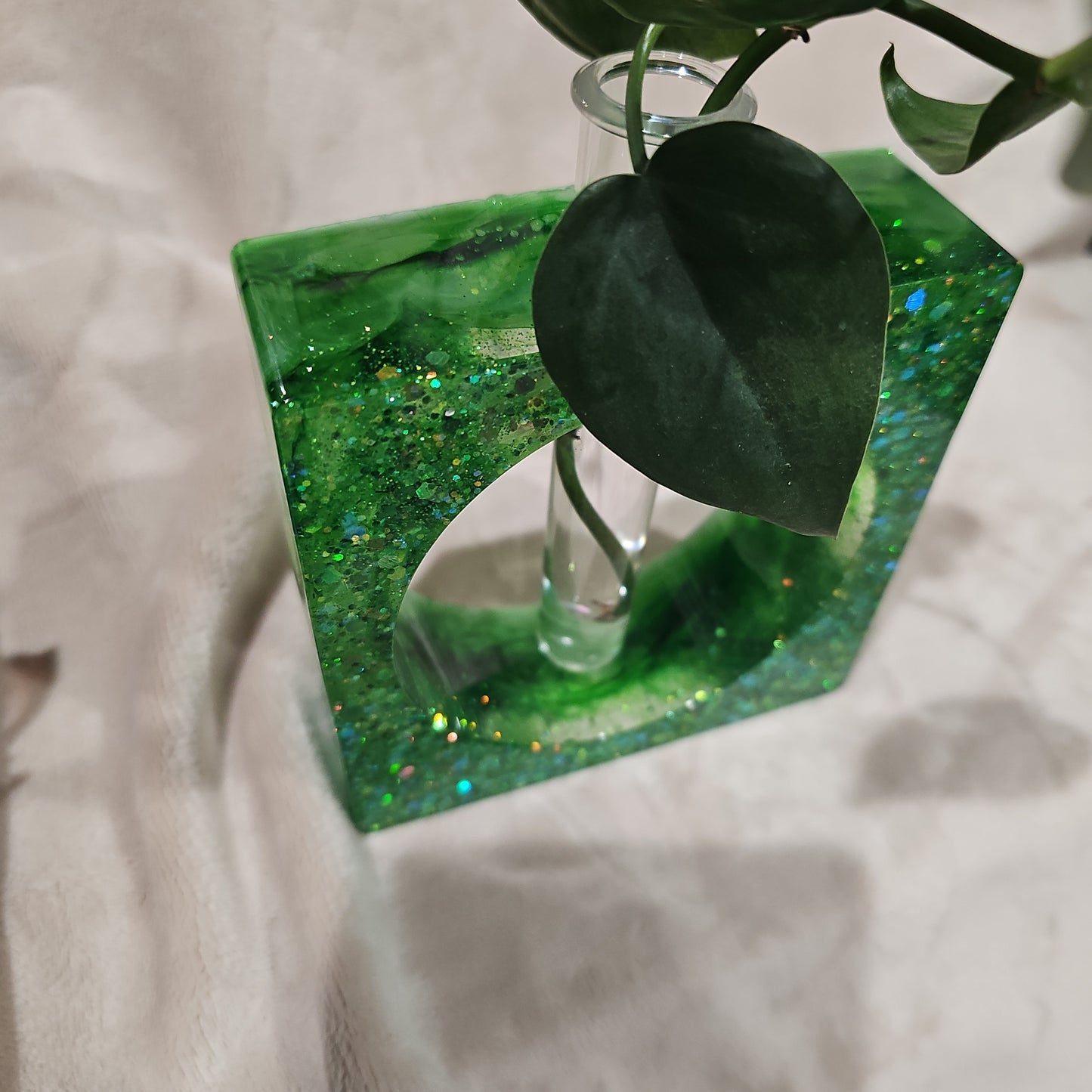 Plant Propagator - Green Square