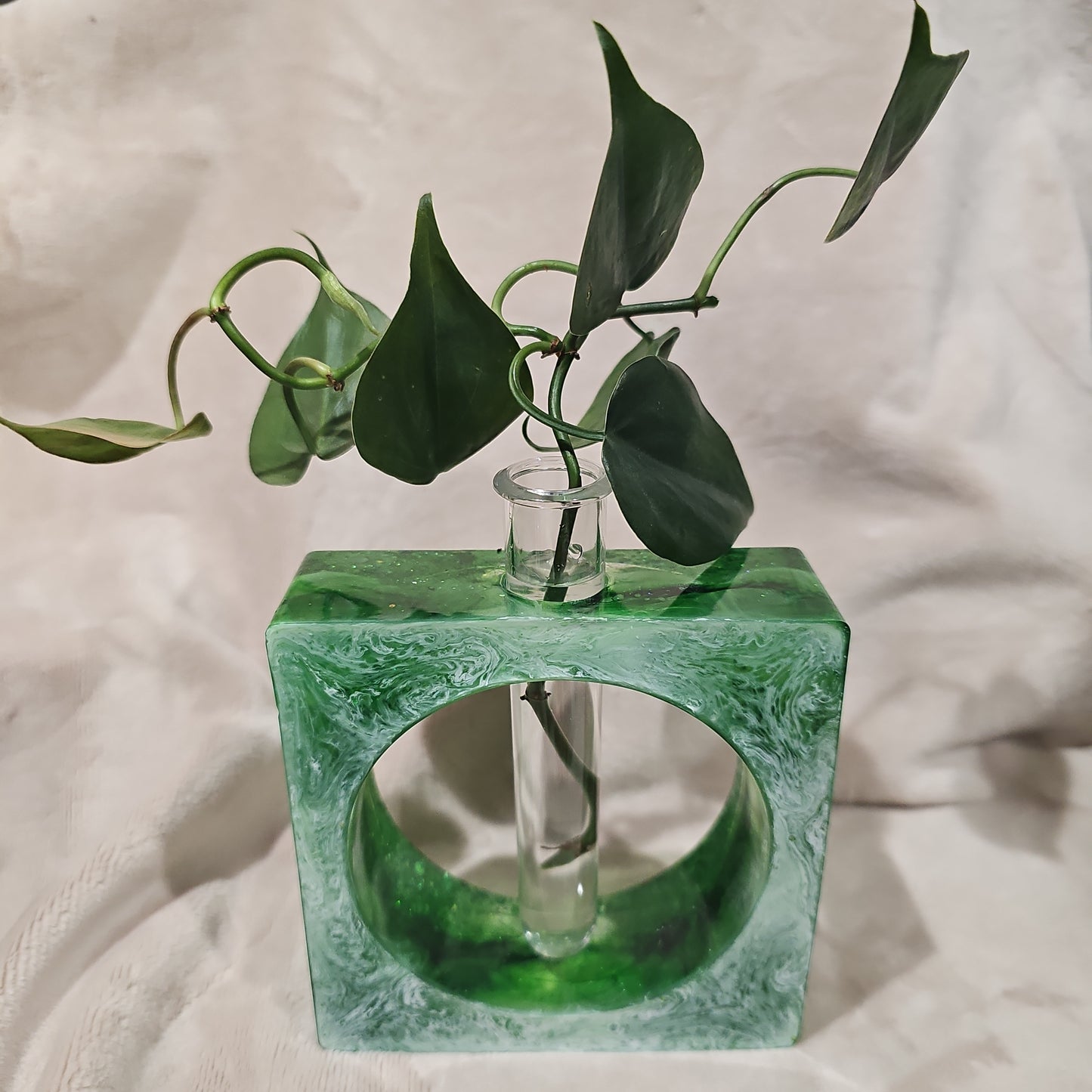 Plant Propagator - Green Square