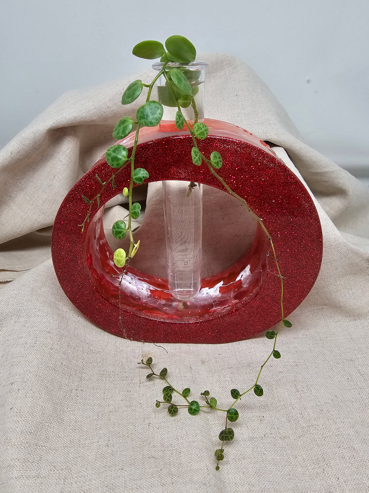 Plant Propagator - Red - Circle
