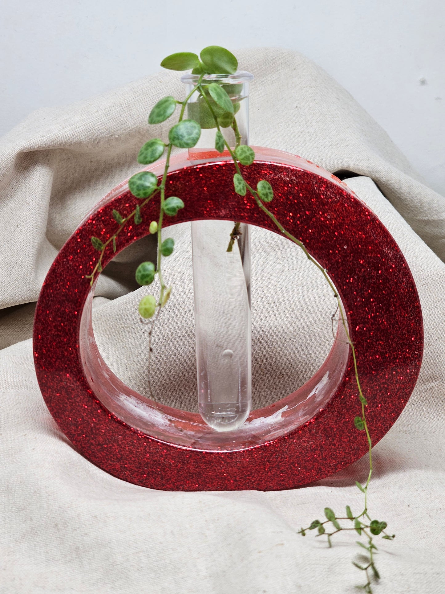 Plant Propagator - Red - Circle