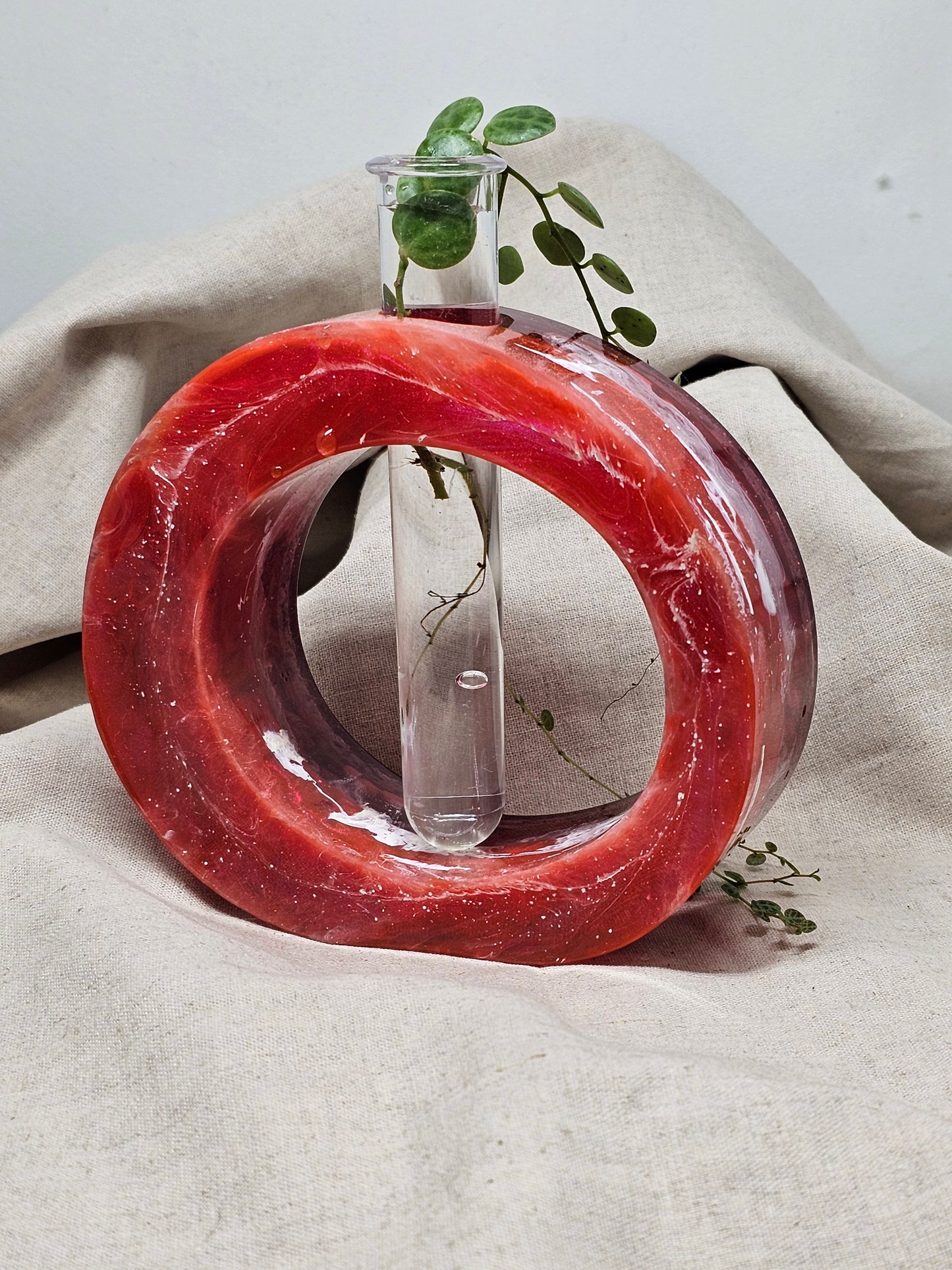 Plant Propagator - Red - Circle