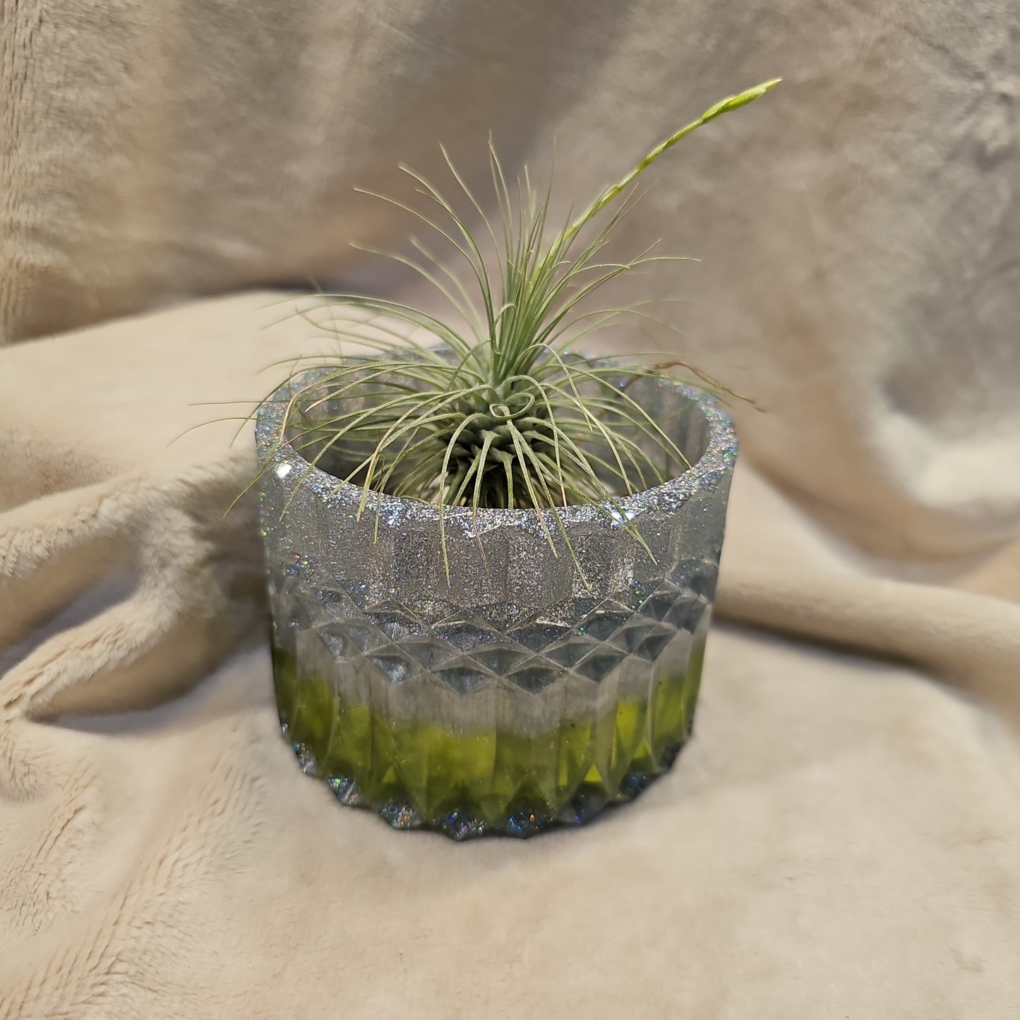 Votive/Planter-Green & Silver