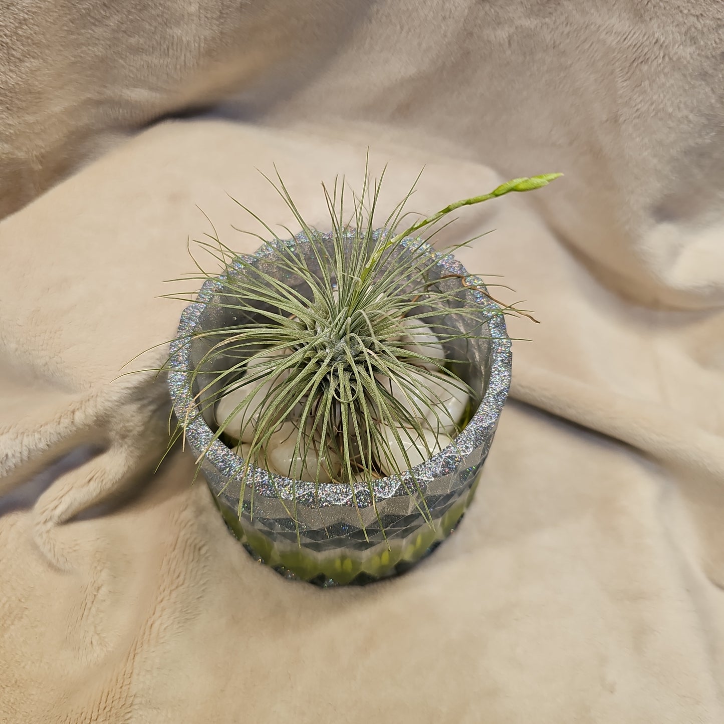 Votive/Planter-Green & Silver