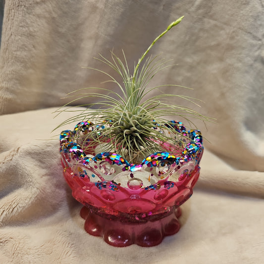 Votive/Planter-Fuchsia