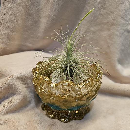 Votive/Planter-Gold & Blue