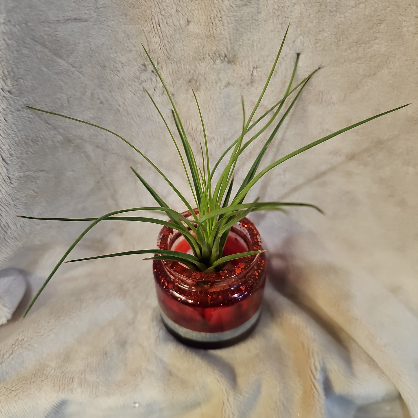 Votive/Planter-Red & Silver