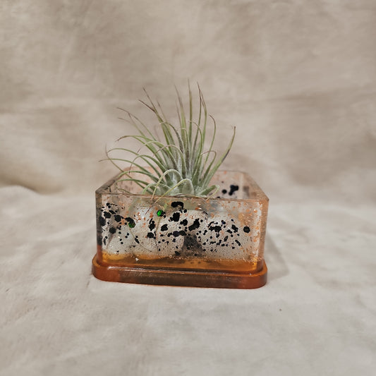 Votive/Planter - Orange & Black