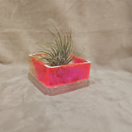 Votive/Planter - Pink & White