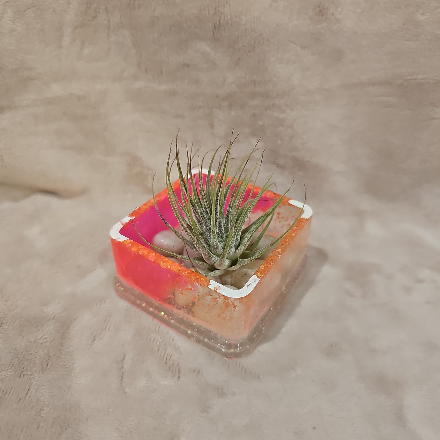 Votive/Planter - Pink & White