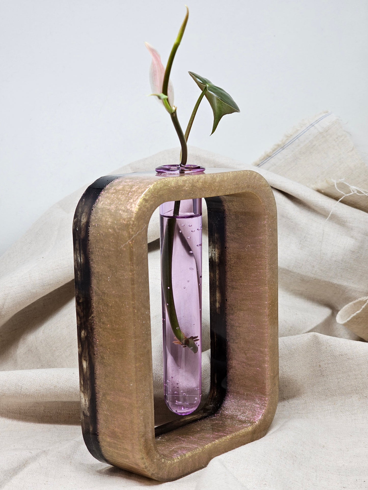 Plant Propagator - Pink Iridescent/Black - Rectangle