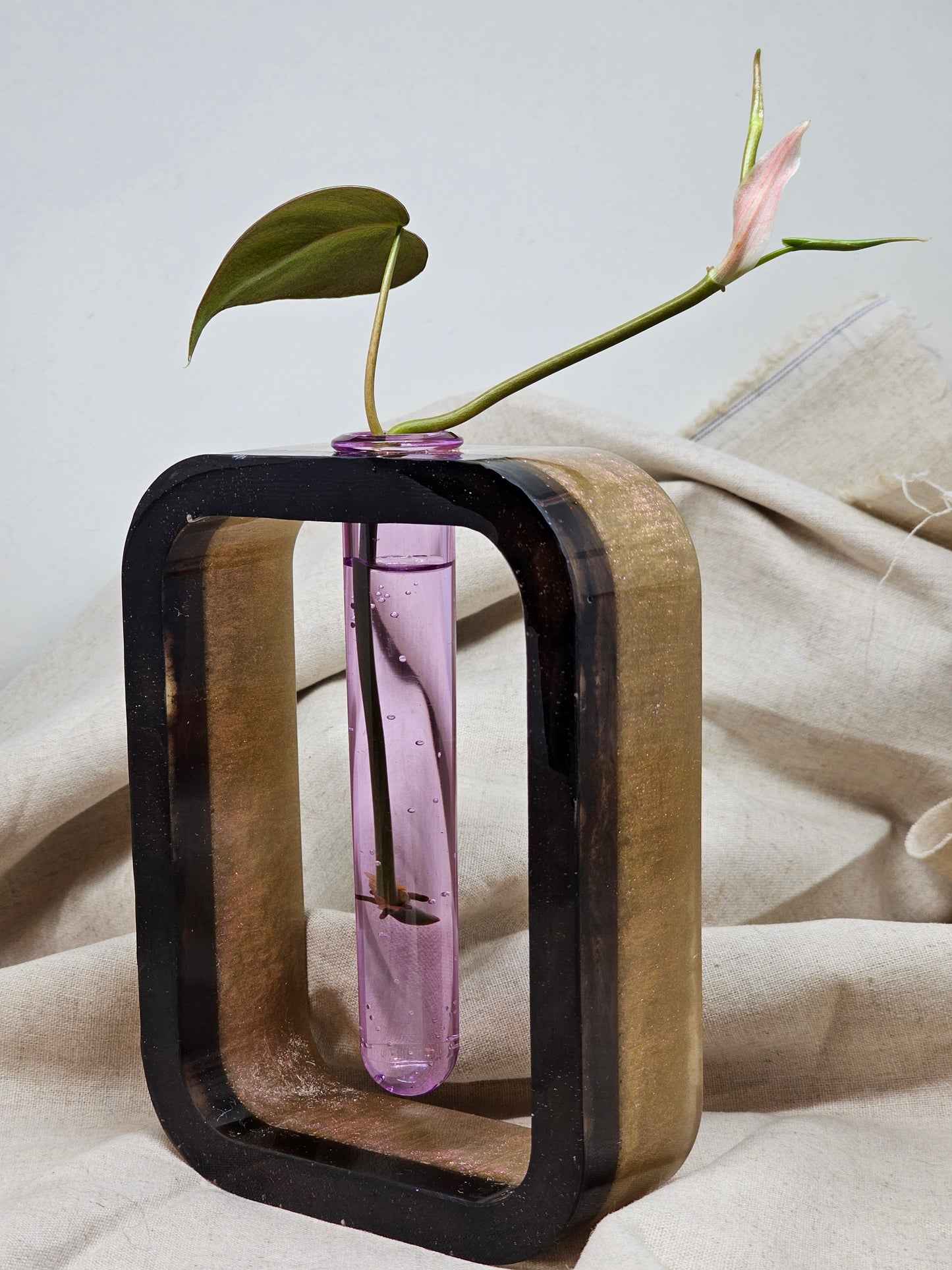 Plant Propagator - Pink Iridescent/Black - Rectangle