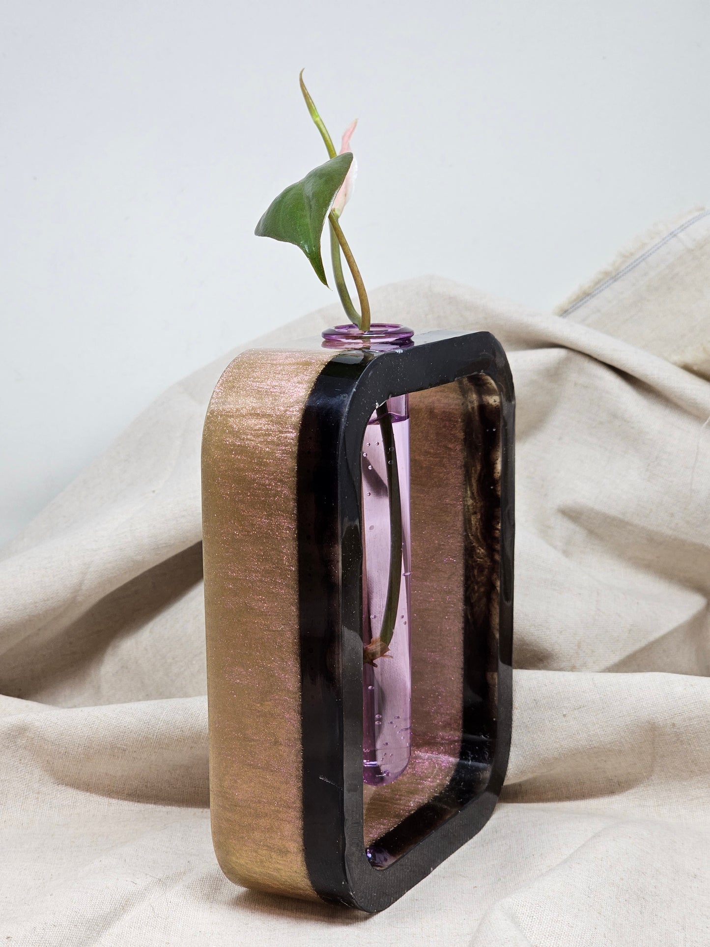 Plant Propagator - Pink Iridescent/Black - Rectangle