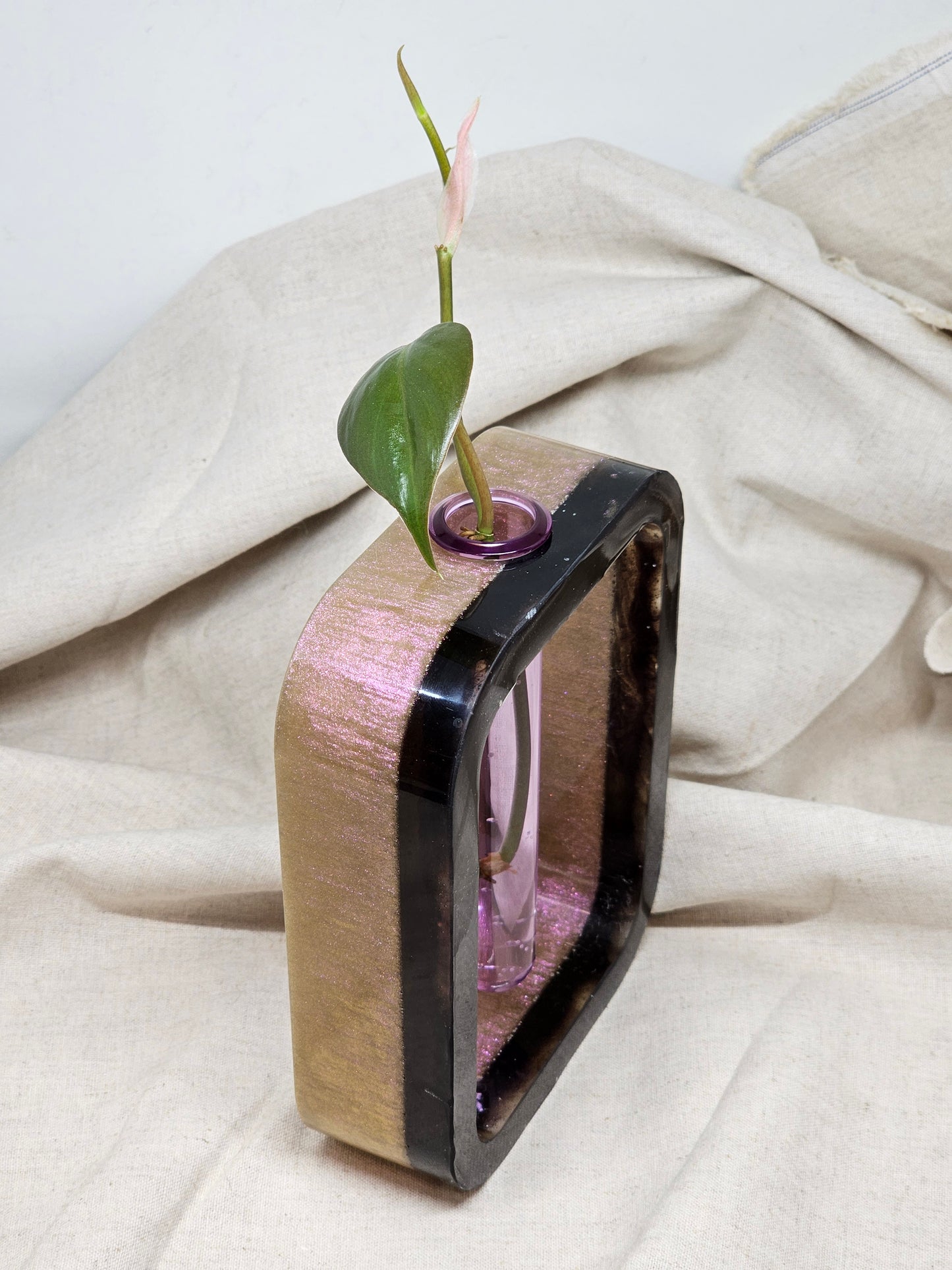 Plant Propagator - Pink Iridescent/Black - Rectangle