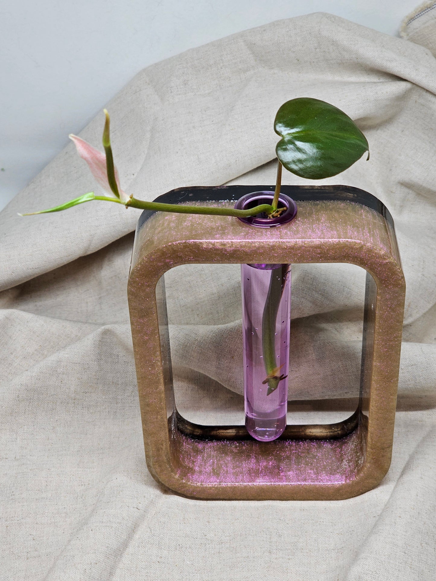 Plant Propagator - Pink Iridescent/Black - Rectangle