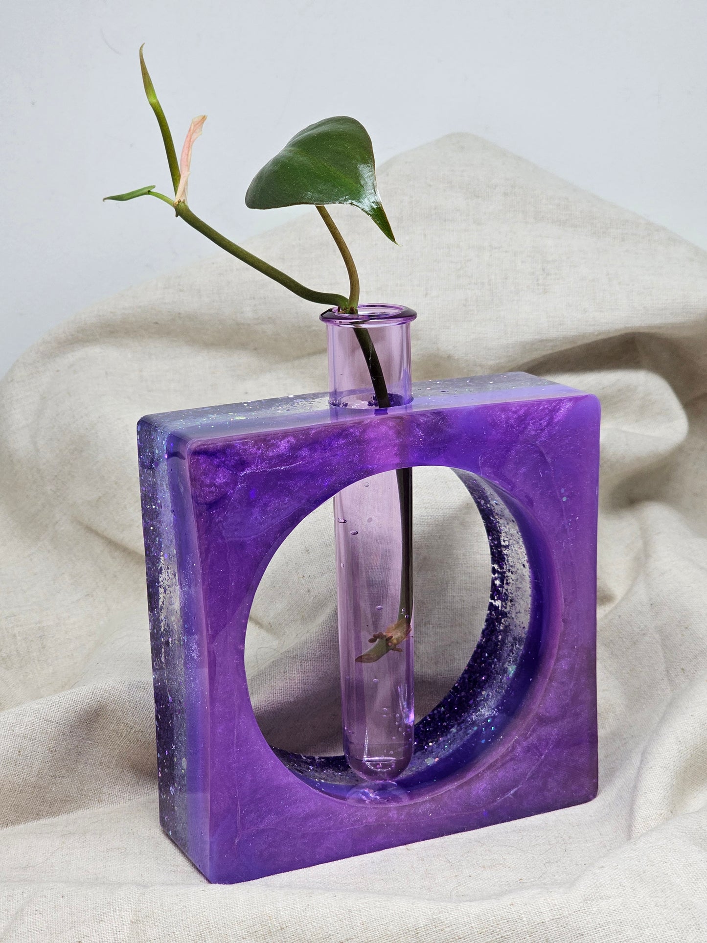 Plant Propagator - Purple Square