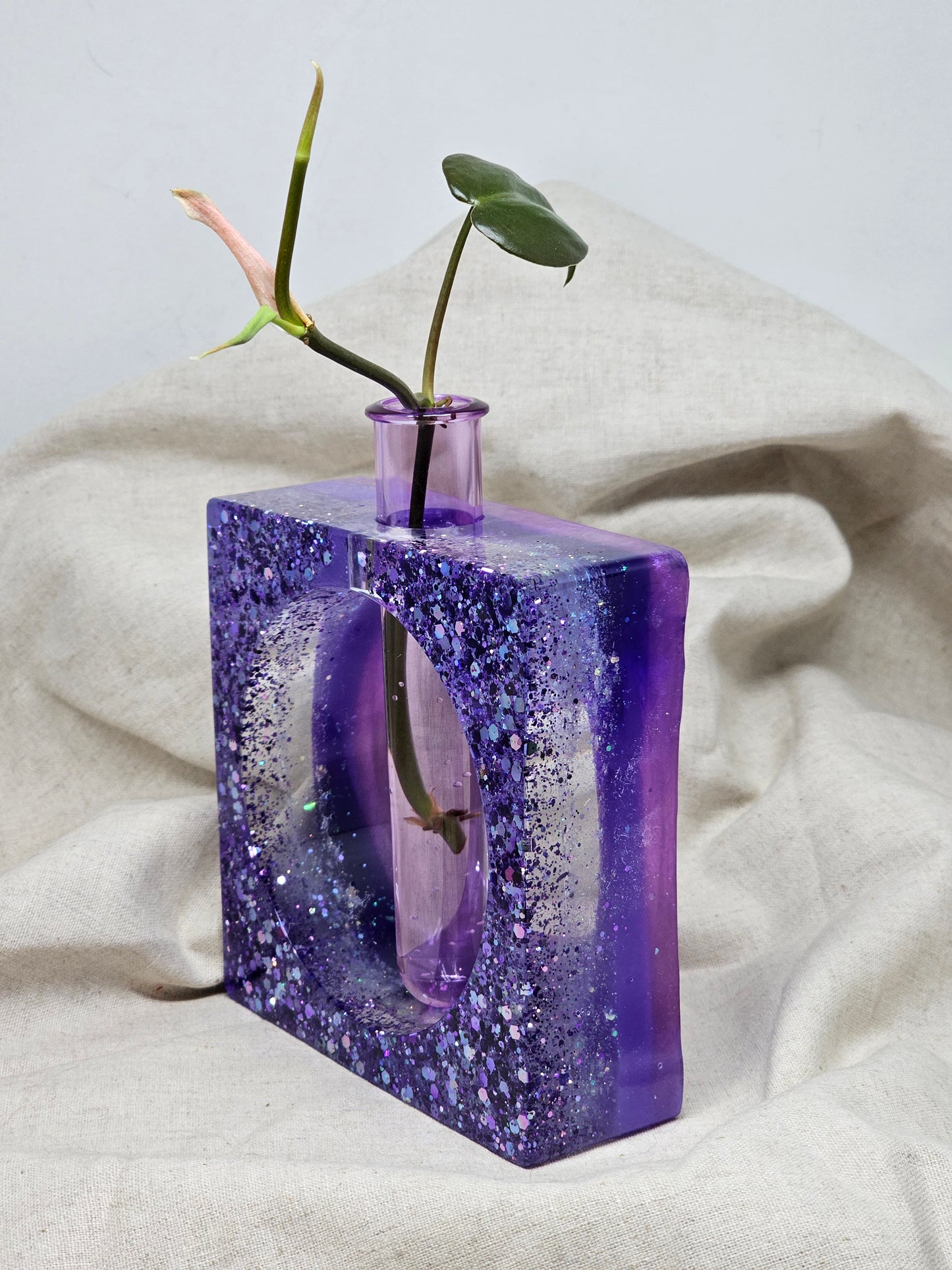 Plant Propagator - Purple Square