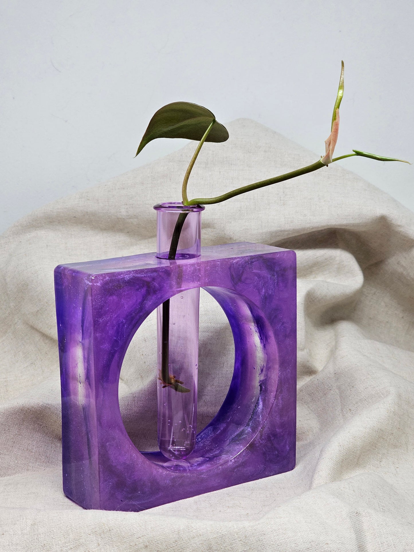 Plant Propagator - Purple Square