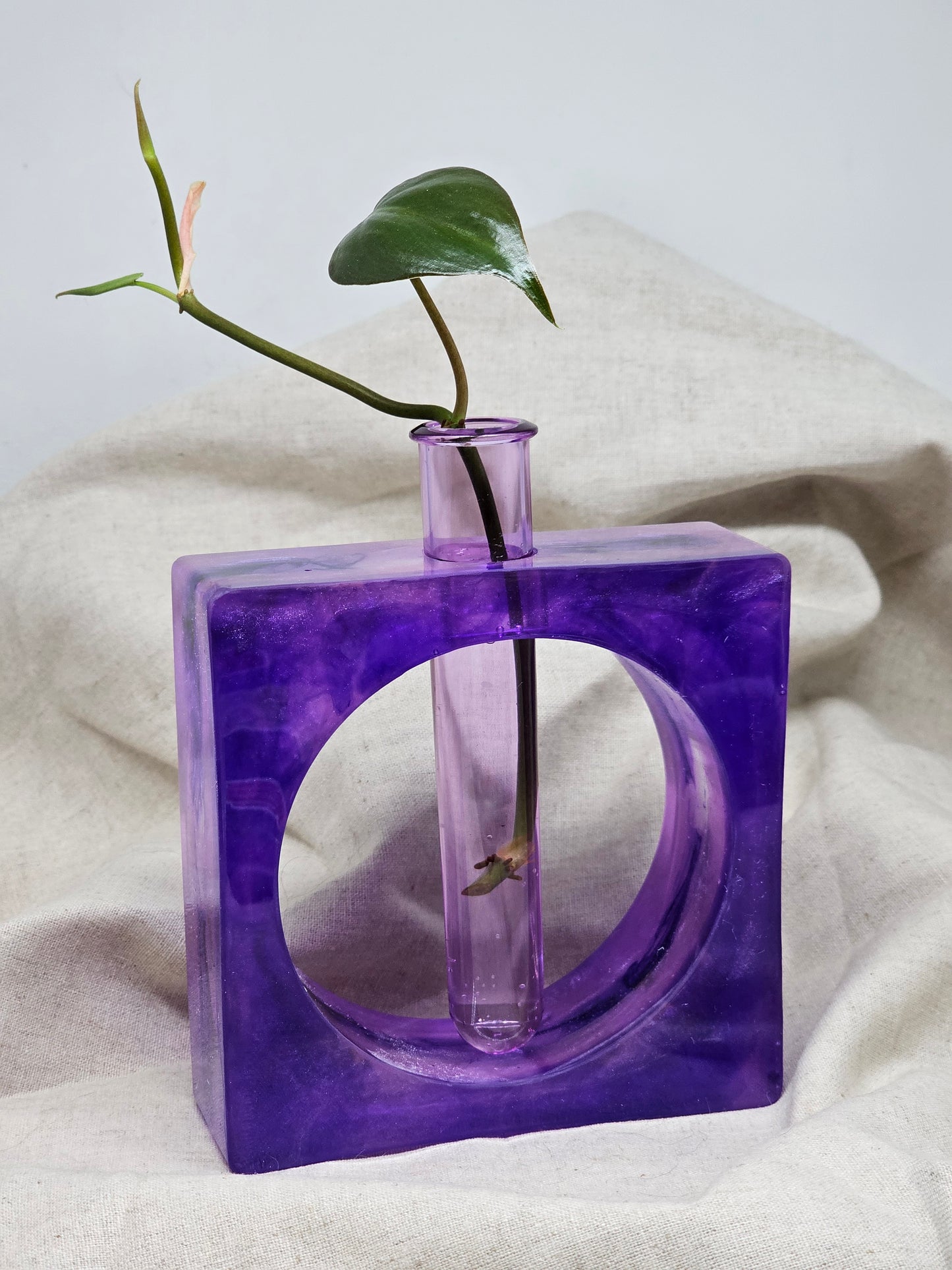 Plant Propagator - Purple Square