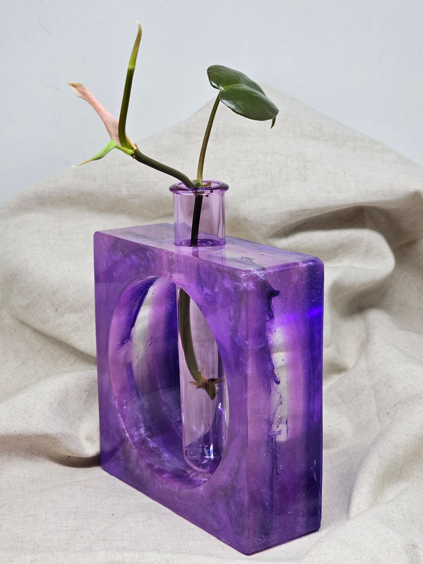 Plant Propagator - Purple Square