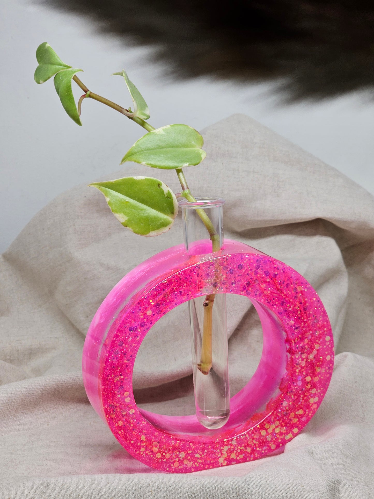 Plant Propagator - Pink - Circle