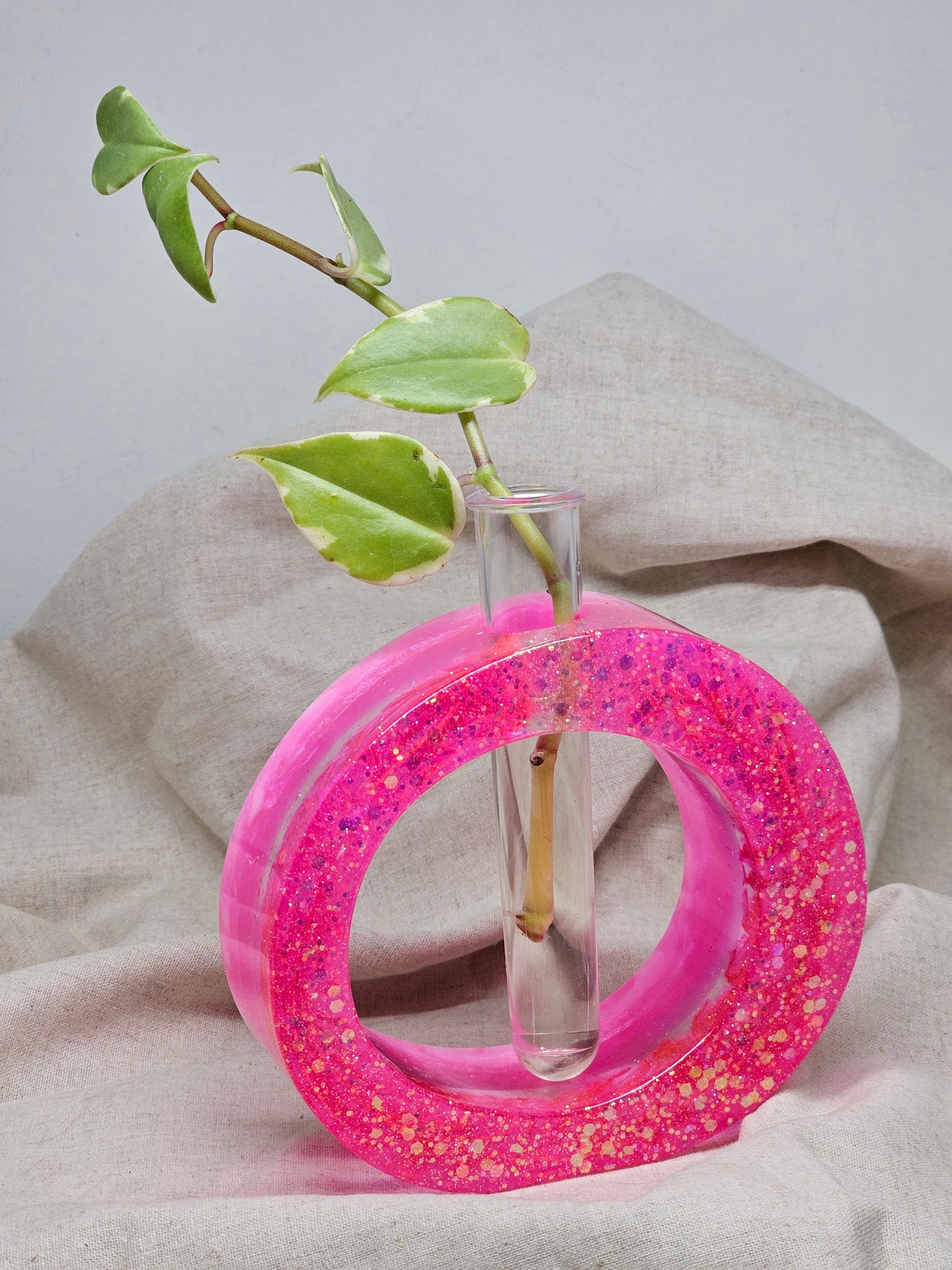 Plant Propagator - Pink - Circle