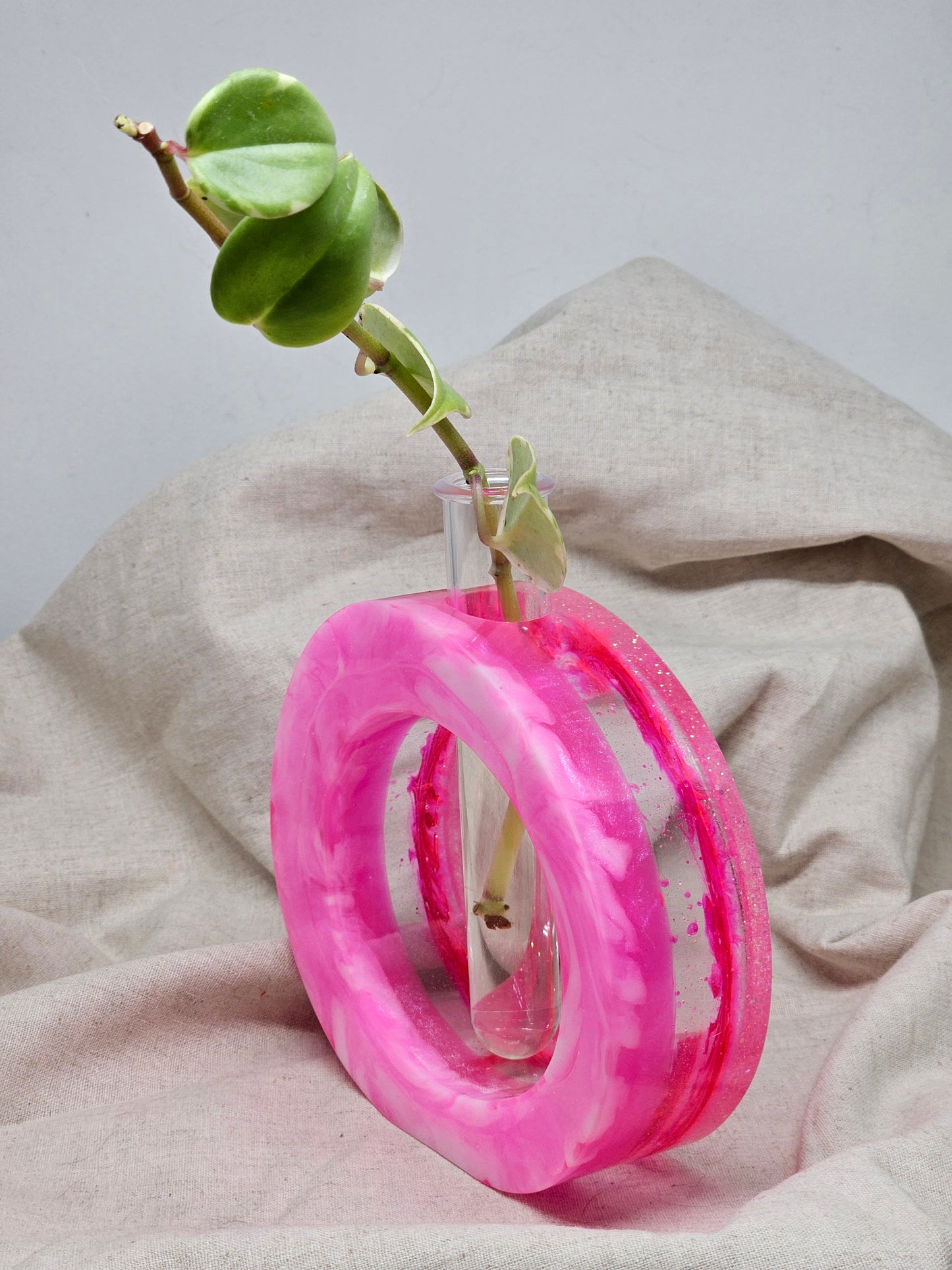 Plant Propagator - Pink - Circle