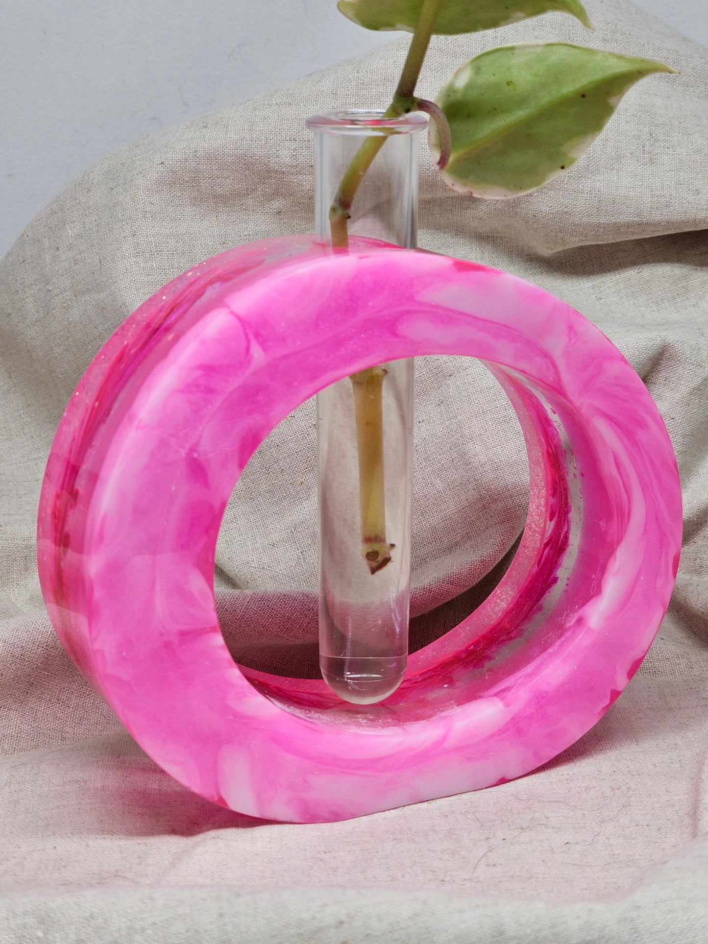 Plant Propagator - Pink - Circle