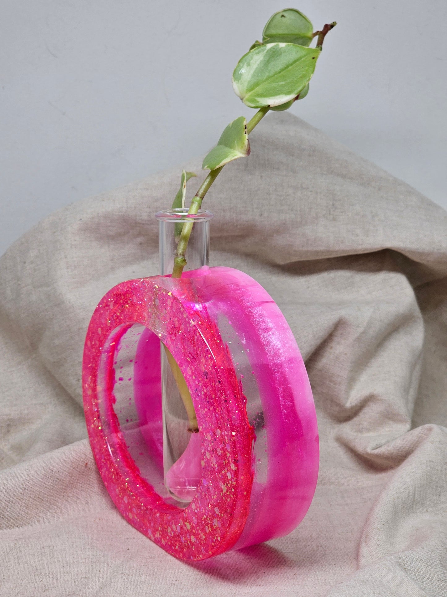 Plant Propagator - Pink - Circle