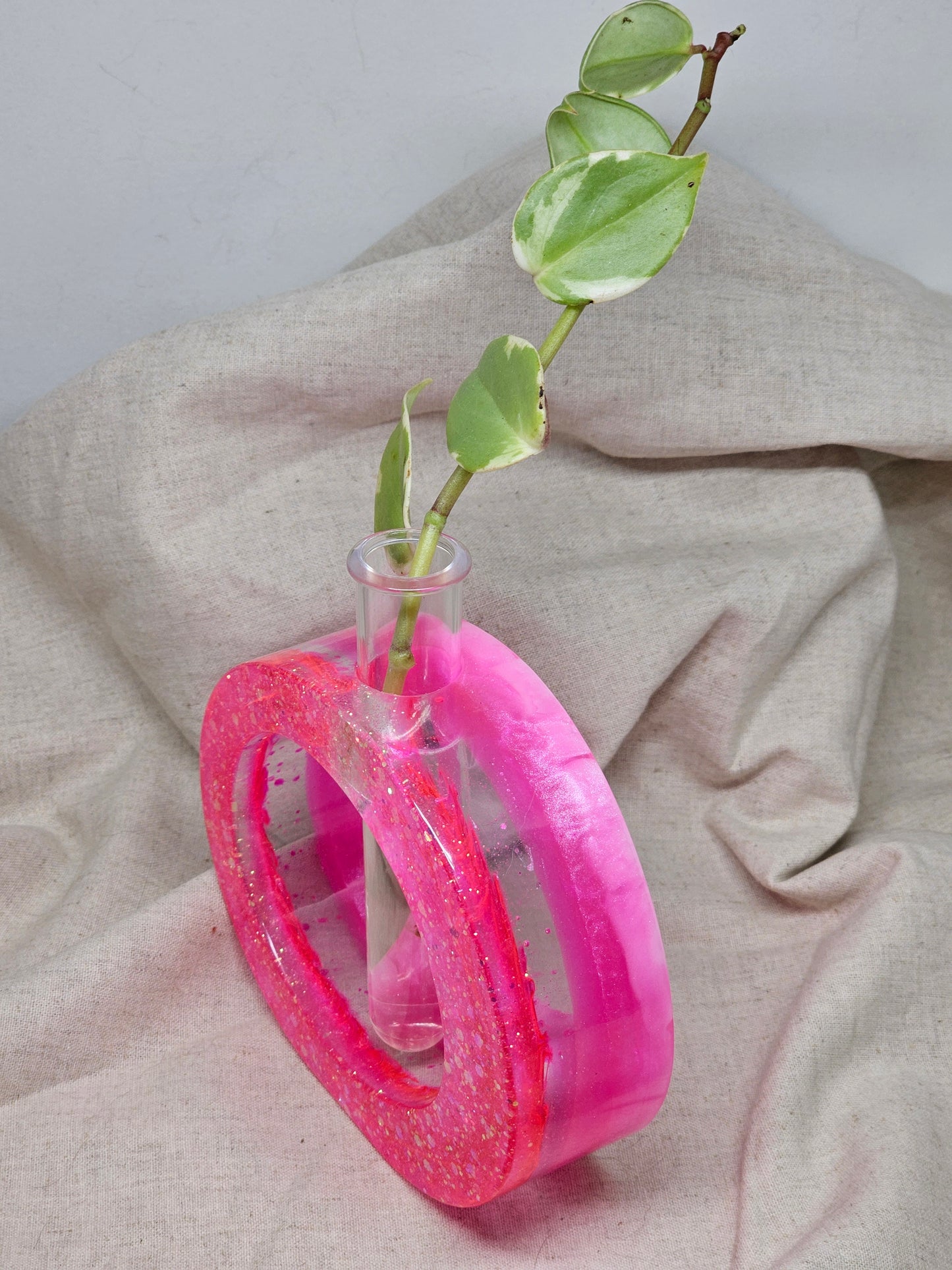 Plant Propagator - Pink - Circle