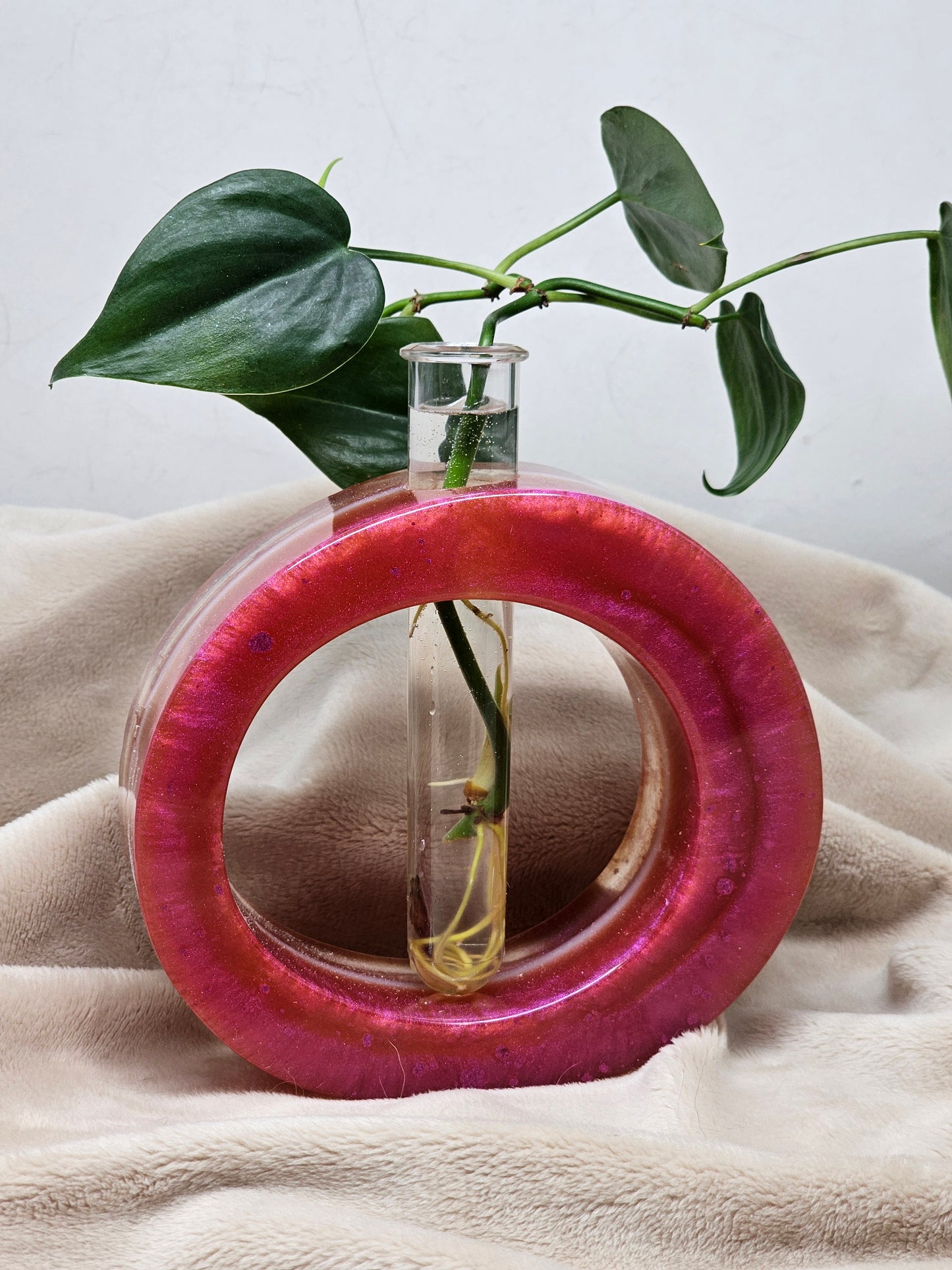 Plant Propagator - Fushcia - Circle