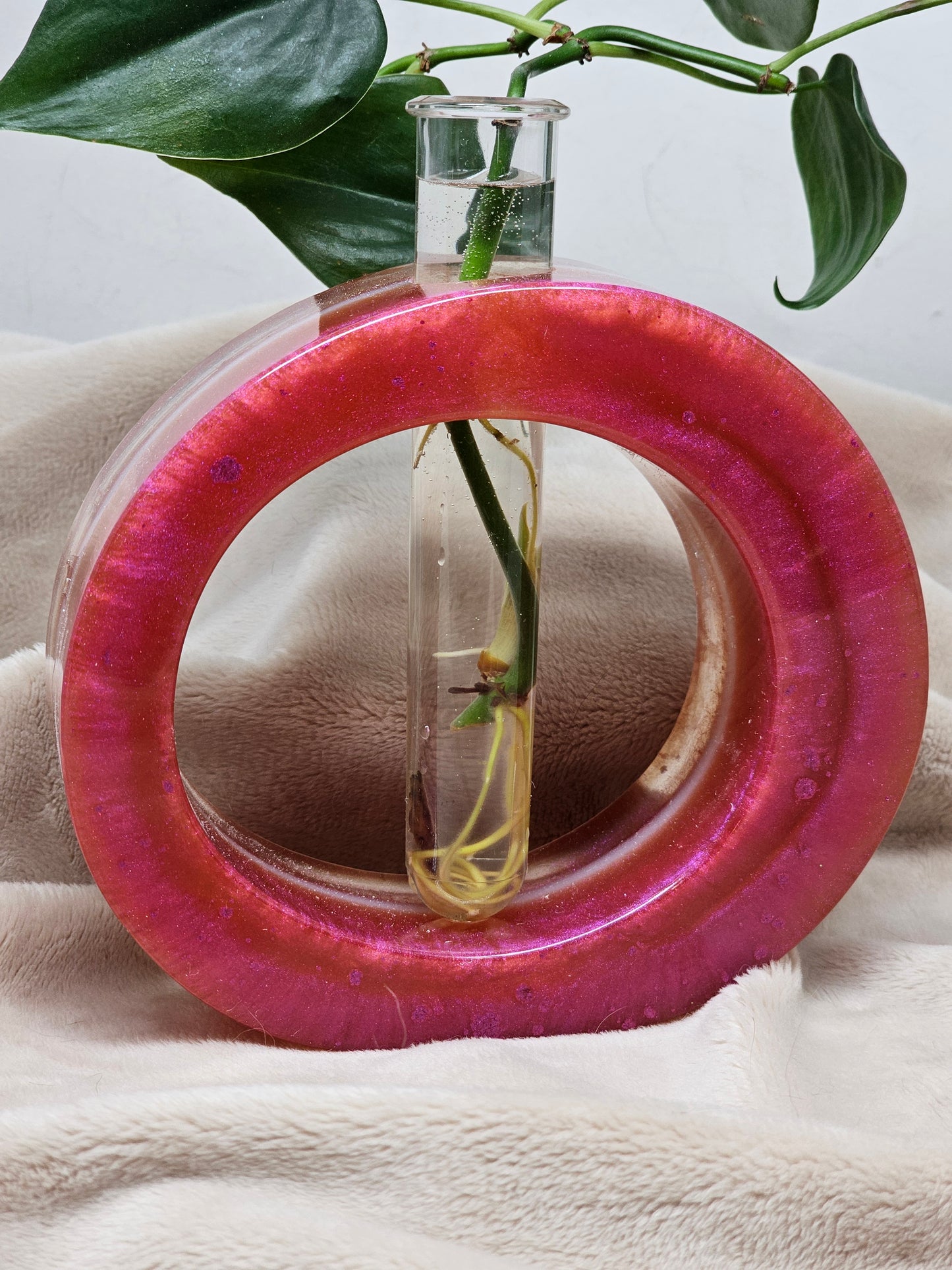 Plant Propagator - Fushcia - Circle