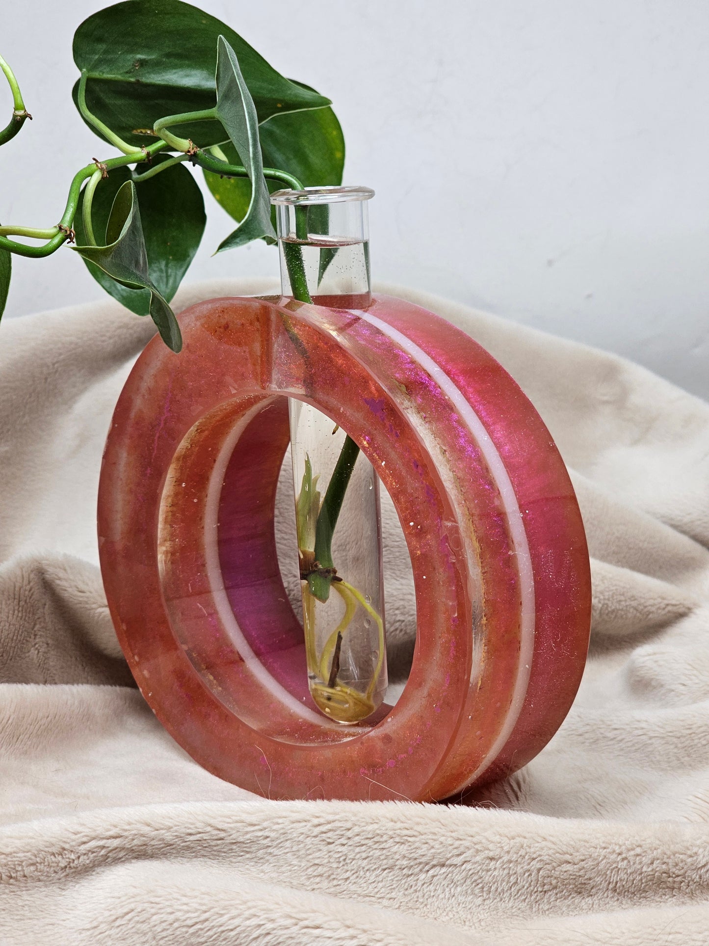 Plant Propagator - Fushcia - Circle