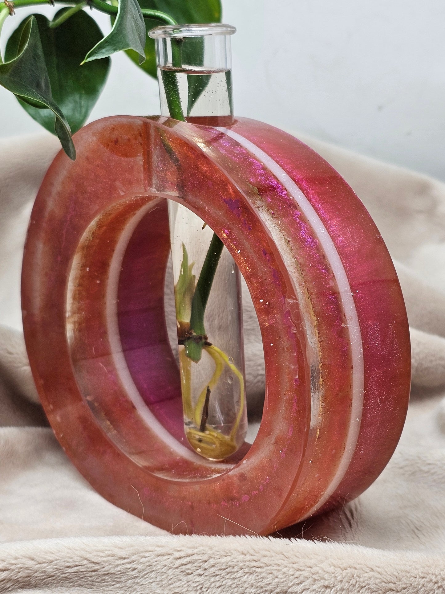 Plant Propagator - Fushcia - Circle