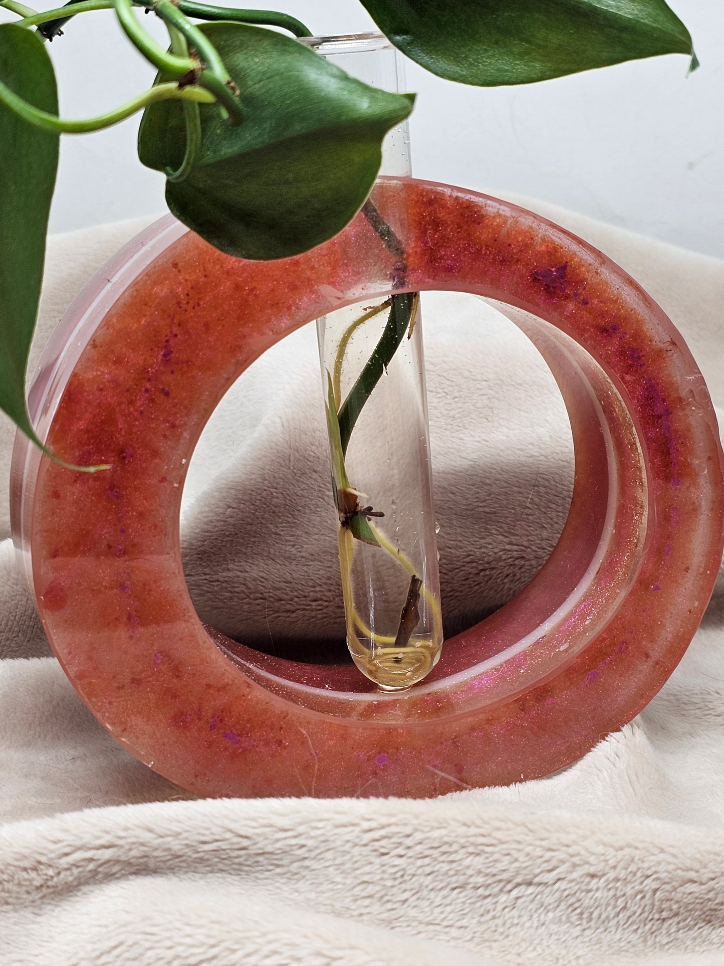 Plant Propagator - Fushcia - Circle