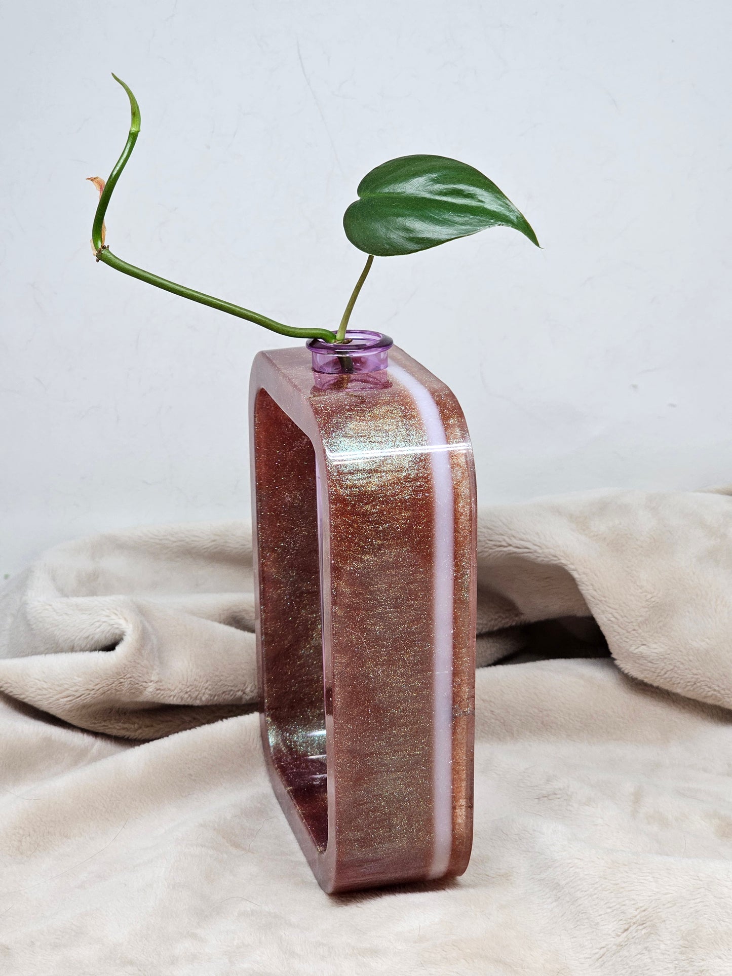 Plant Propagator - Shimmery Rose Gold - Rectangle