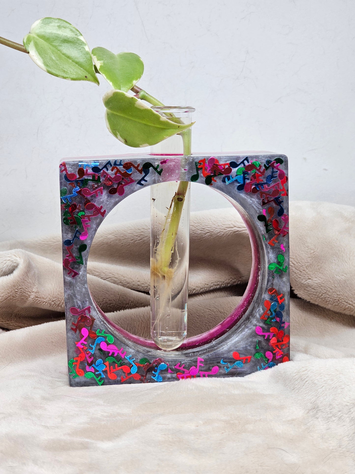 Plant Propagator - Music Note Fuchsia Square