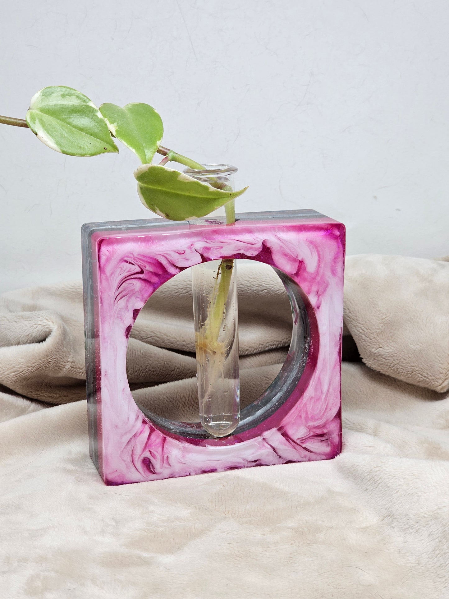 Plant Propagator - Music Note Fuchsia Square