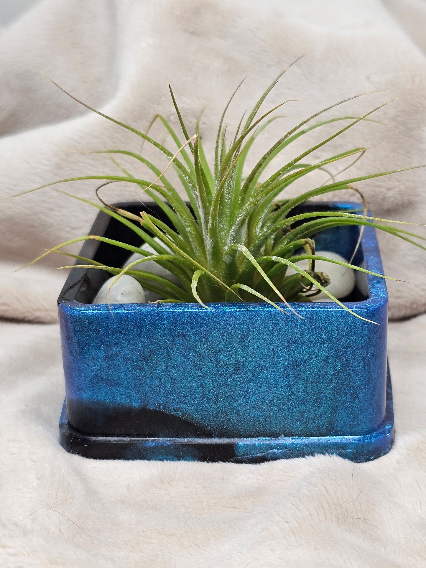 Votive/Planter - Blue & Black